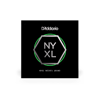 D`ADDARIO NYNW019