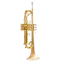 Carol Brass CTR-7000L-YSS-Bb-SL