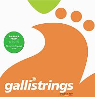 GALLI STRINGS FG018